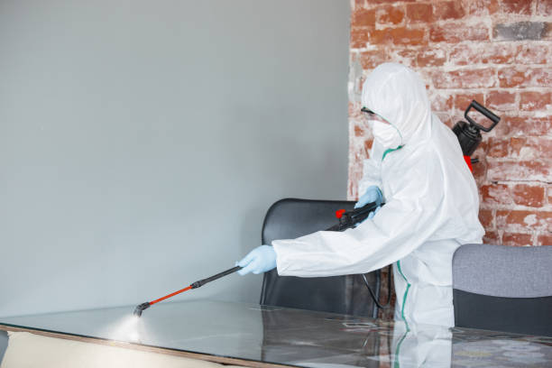 Best Emergency Mold Remediation in Lucas, TX